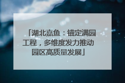 湖北嘉鱼：锚定满园工程，多维度发力推动园区高质量发展