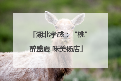 湖北孝感：“桃”醉盛夏 味美杨店