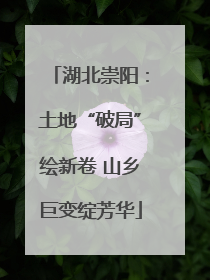 湖北崇阳：土地“破局”绘新卷 山乡巨变绽芳华