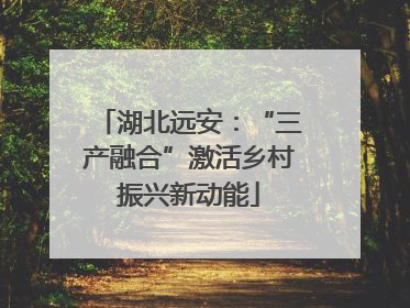 湖北远安：“三产融合”激活乡村振兴新动能