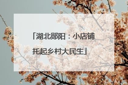 湖北郧阳：小店铺托起乡村大民生