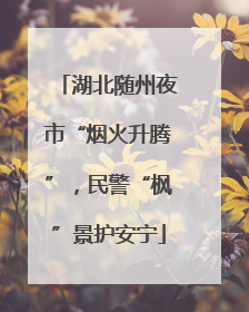 湖北随州夜市“烟火升腾”，民警“枫”景护安宁