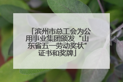 滨州市总工会为公用事业集团颁发“山东省五一劳动奖状”证书和奖牌