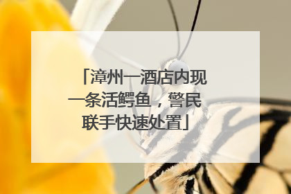 漳州一酒店内现一条活鳄鱼，警民联手快速处置