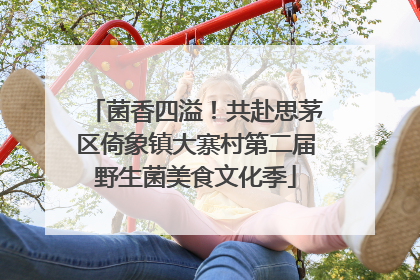 菌香四溢！共赴思茅区倚象镇大寨村第二届野生菌美食文化季
