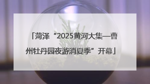 菏泽“2025黄河大集—曹州牡丹园夜游消夏季”开幕