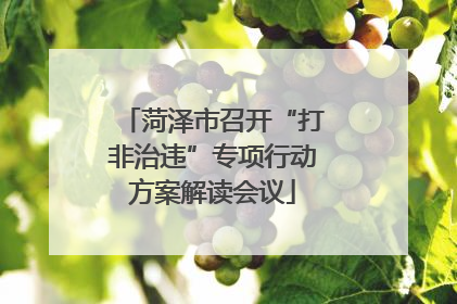 菏泽市召开“打非治违”专项行动方案解读会议