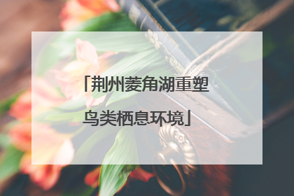 荆州菱角湖重塑鸟类栖息环境