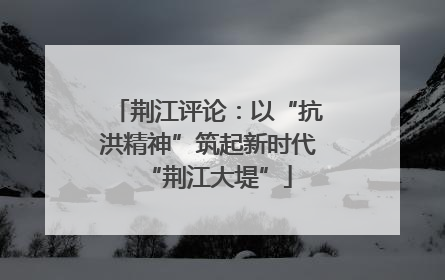 荆江评论：以“抗洪精神”筑起新时代“荆江大堤”