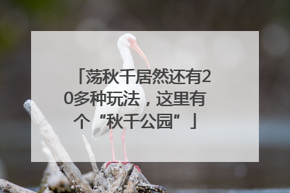 荡秋千居然还有20多种玩法，这里有个“秋千公园”