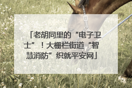 老胡同里的“电子卫士”！大栅栏街道“智慧消防”织就平安网