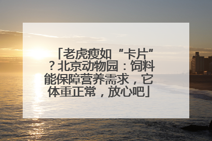老虎瘦如“卡片”？北京动物园：饲料能保障营养需求，它体重正常，放心吧