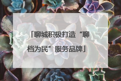 聊城积极打造“聊档为民”服务品牌