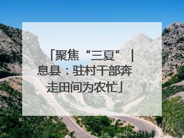 聚焦“三夏”｜息县：驻村干部奔走田间为农忙