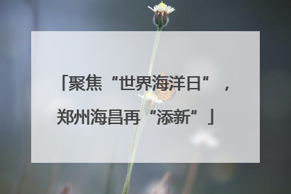聚焦“世界海洋日”，郑州海昌再“添新”