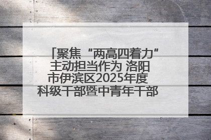 聚焦“两高四着力” 主动担当作为 洛阳市伊滨区2025年度科级干部暨中青年干部培训班开班