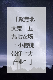 聚焦北大荒｜五九七农场：小樱桃带红“大产业”