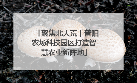 聚焦北大荒｜普阳农场科技园区打造智慧农业新阵地