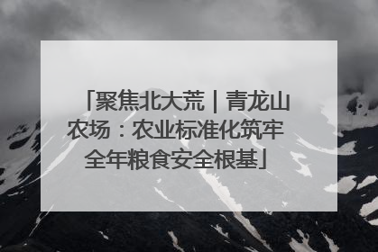 聚焦北大荒｜青龙山农场：农业标准化筑牢全年粮食安全根基
