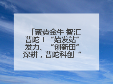 聚势金牛 智汇普陀〡“始发站”发力、“创新田”深耕，普陀科创“金牛”闪耀