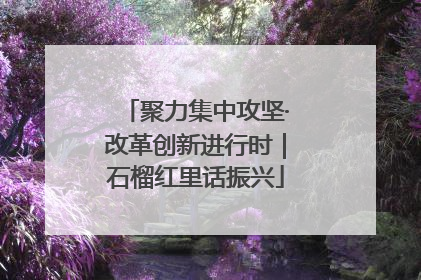 聚力集中攻坚·改革创新进行时｜石榴红里话振兴