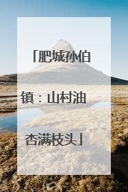 肥城孙伯镇：山村油杏满枝头
