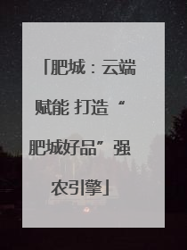 肥城：云端赋能 打造“肥城好品”强农引擎
