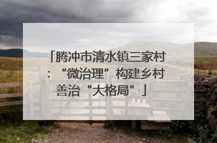 腾冲市清水镇三家村：“微治理”构建乡村善治“大格局”