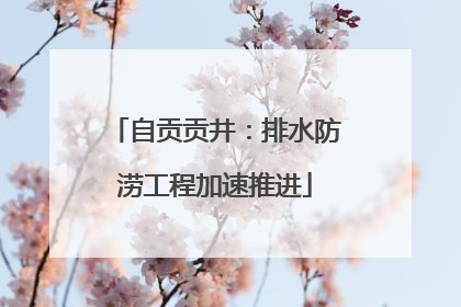 自贡贡井：排水防涝工程加速推进