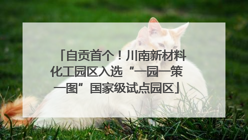 自贡首个！川南新材料化工园区入选“一园一策一图”国家级试点园区