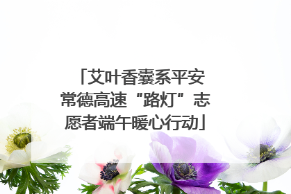 艾叶香囊系平安 常德高速“路灯”志愿者端午暖心行动