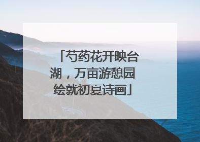 芍药花开映台湖，万亩游憩园绘就初夏诗画