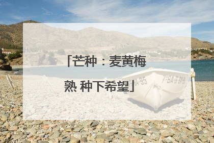 芒种：麦黄梅熟 种下希望