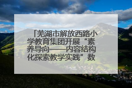 芜湖市解放西路小学教育集团开展“素养导向——内容结构化探索教学实践”数学专题研讨活动