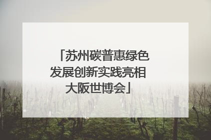 苏州碳普惠绿色发展创新实践亮相大阪世博会