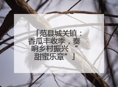 范县城关镇：香瓜丰收季，奏响乡村振兴 “甜蜜乐章”