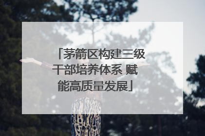 茅箭区构建三级干部培养体系 赋能高质量发展