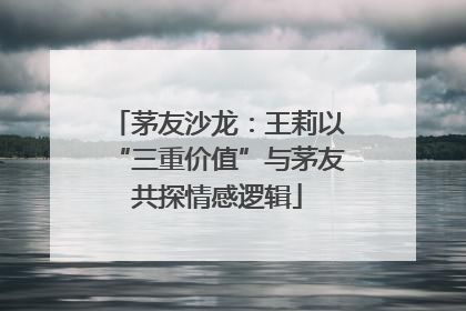 茅友沙龙：王莉以“三重价值”与茅友共探情感逻辑