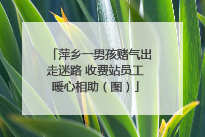 萍乡一男孩赌气出走迷路 收费站员工暖心相助（图）