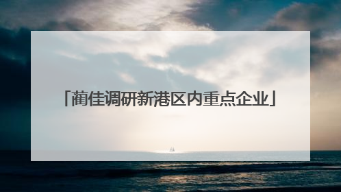 蔺佳调研新港区内重点企业