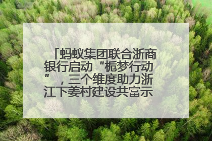 蚂蚁集团联合浙商银行启动“栀梦行动”，三个维度助力浙江下姜村建设共富示范区示范点