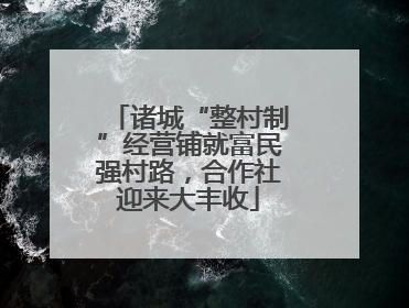 诸城“整村制”经营铺就富民强村路，合作社迎来大丰收