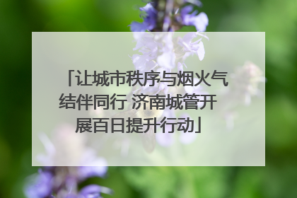 让城市秩序与烟火气结伴同行 济南城管开展百日提升行动