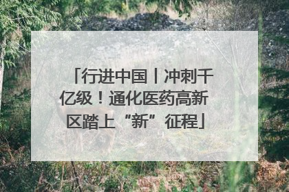 行进中国丨冲刺千亿级！通化医药高新区踏上“新”征程