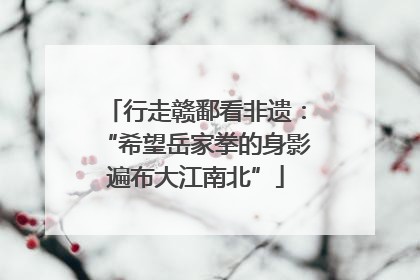 行走赣鄱看非遗：“希望岳家拳的身影遍布大江南北”