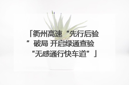 衢州高速“先行后验”破局 开启绿通查验“无感通行快车道”