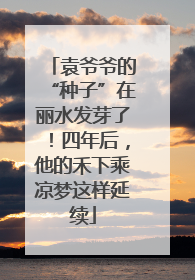 袁爷爷的“种子”在丽水发芽了！四年后，他的禾下乘凉梦这样延续