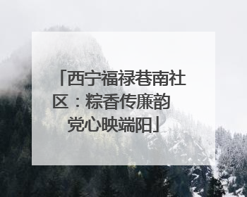 西宁福禄巷南社区：粽香传廉韵 党心映端阳