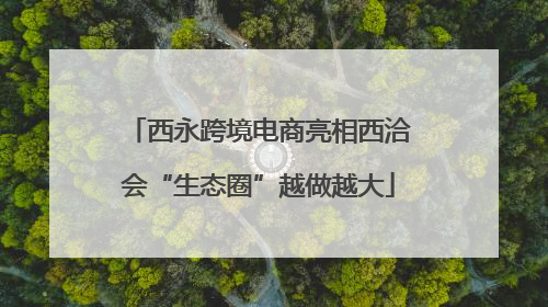 西永跨境电商亮相西洽会“生态圈”越做越大