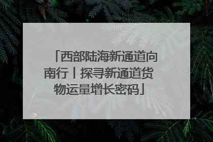 西部陆海新通道向南行丨探寻新通道货物运量增长密码